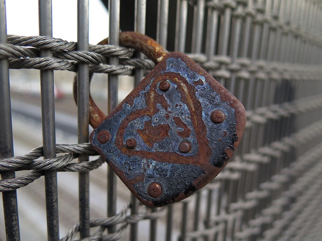 Free Heart Symbol photo and picture