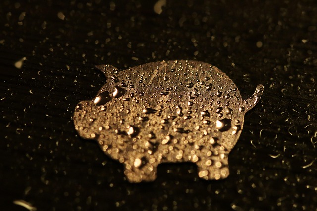 Free Happiness Pig photo and picture