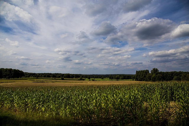 Free Heaven Blue photo and picture