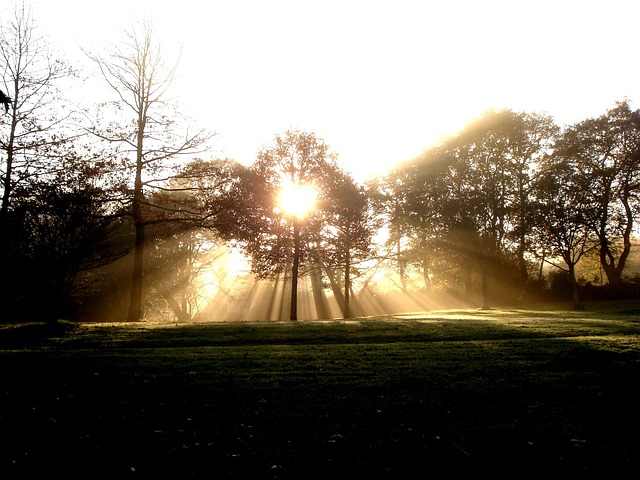 Sol, Lysstråle, Landskab