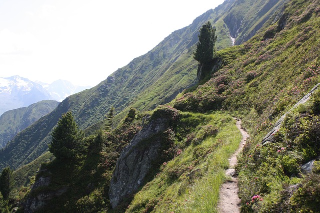 Free Mountain Outlook photo and picture