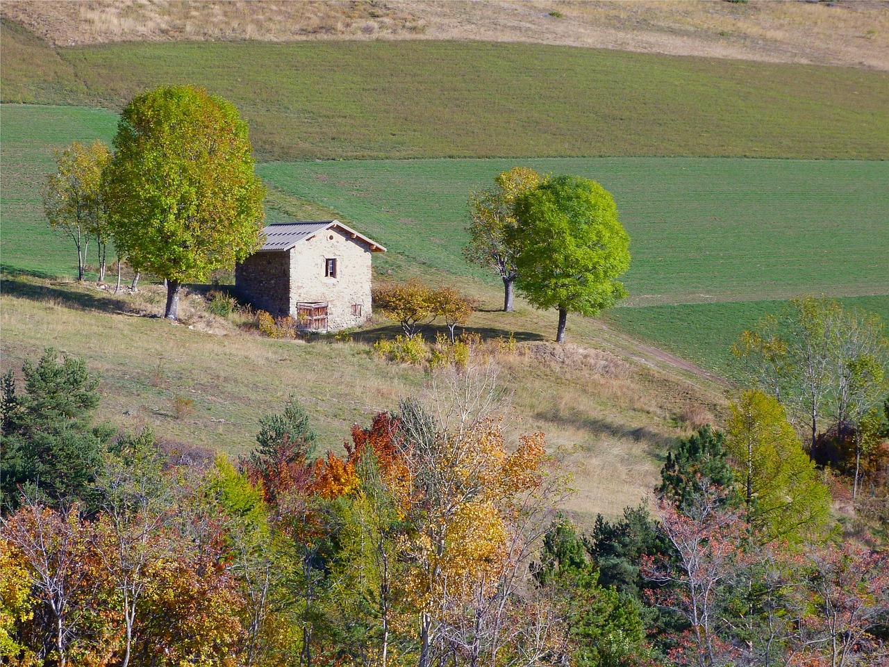 Landscape - free online jigsaw puzzle photo