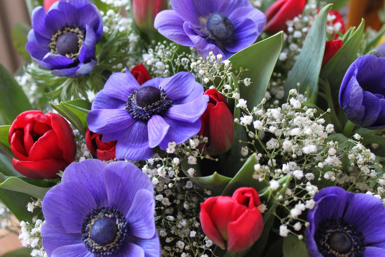 Boeket Bloem Bloemen Gratis Foto Op Pixabay Pixabay boeket-bloem-bloemen-gratis-foto-op-pixabay-pixabay