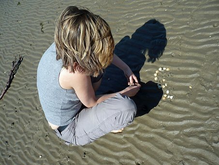 Free Beach Watt photo and picture