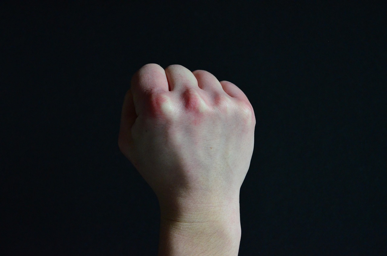 Puño Signo De Mano Gesto - Foto gratis en Pixabay - Pixabay