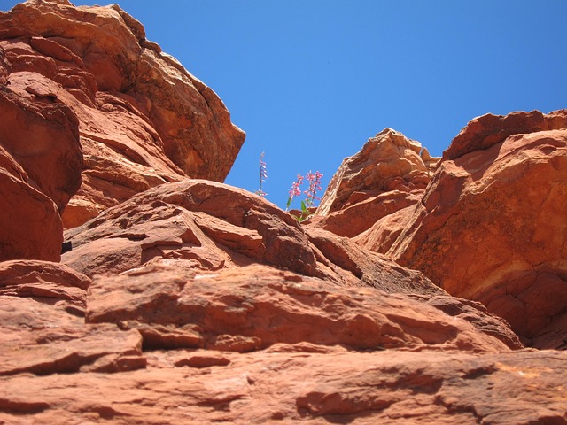 Free Sedona Landscape photo and picture