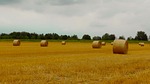straw bales, straw, wrapped up