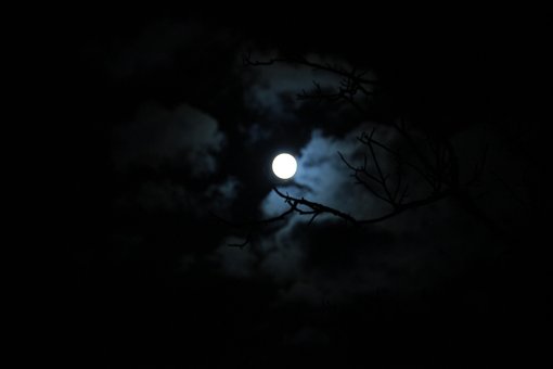 Free At Night Moon photo and picture