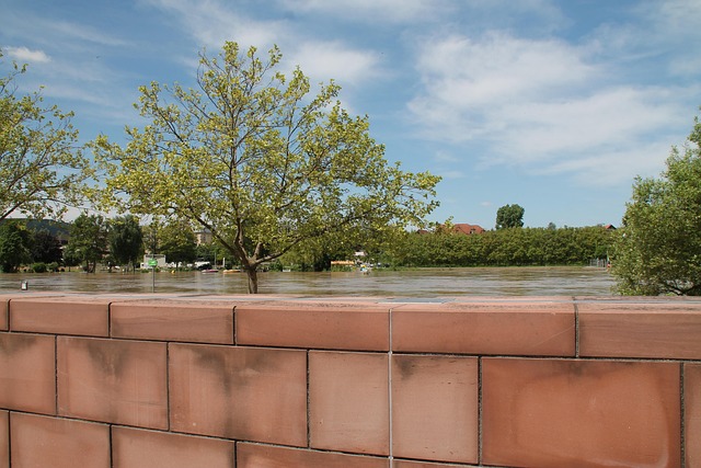 Free High Water Wall photo and picture
