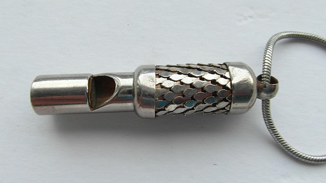 Free Vintage Whistle Vintage Silver Plate photo and picture