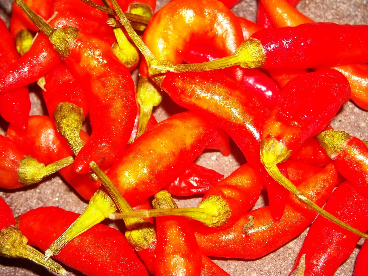 Chili Red Lombok - Free photo on Pixabay - Pixabay