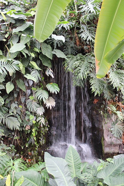Free Nature Waterfall photo and picture