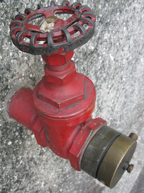 Free Water Spout Nature photo and picture