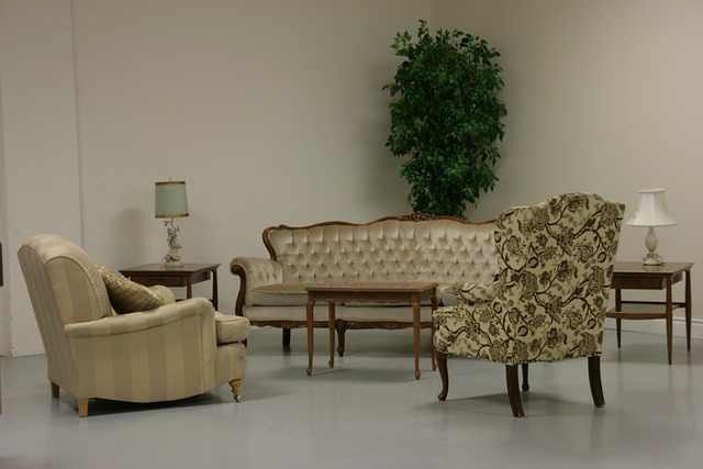 living room, interior, homes, houses, buildings, decorative, arrangements, arranged, white, walls, nature, sofa, furniture, lamps, green, plants, indoor, interior design, decoration, clean, neat, tidy, residential, residence, modern, rooms, inside, architecture, brown room, brown interior, brown clean, brown lamp