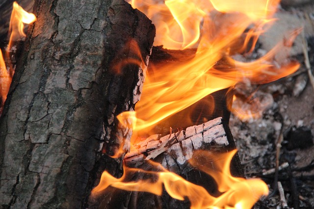 Feuer, Lagerfeuer, Flamme, Brennen
