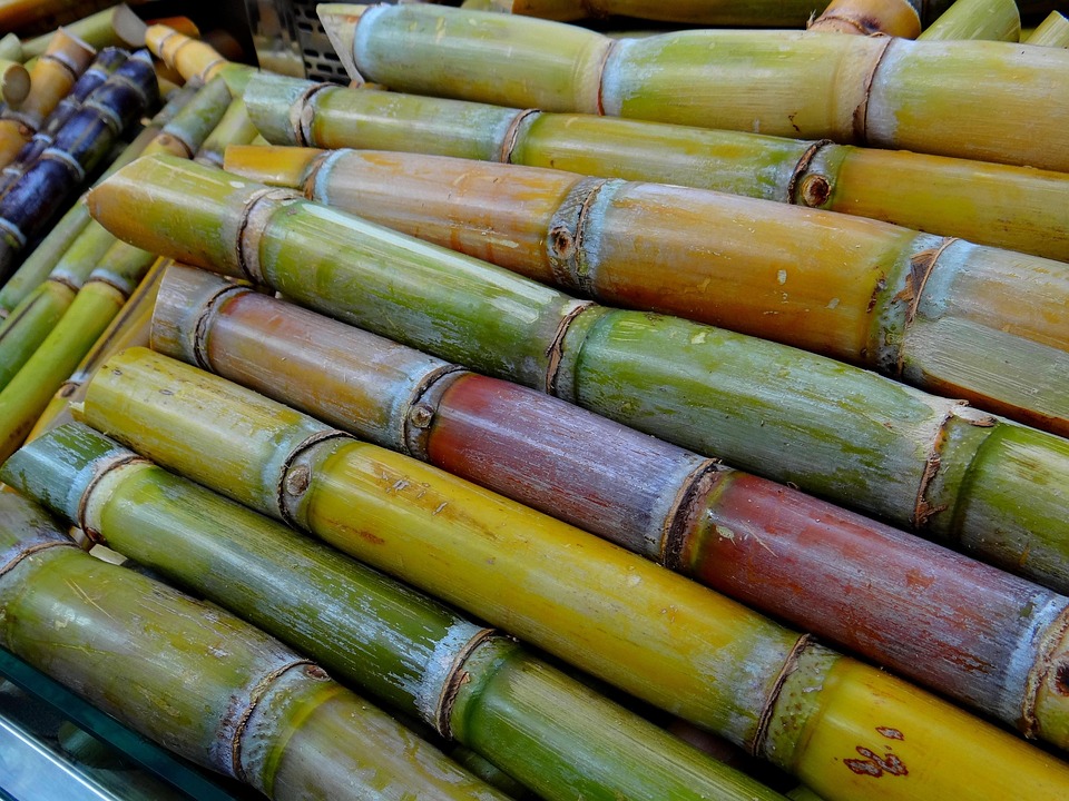 Sugar Cane Licorice Stimulant Free Photo On Pixabay