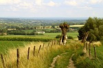 lane, field, away