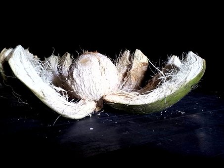 Kokosnuss, Obst, Lebensmittel, Reif