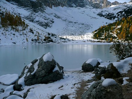 Free The Needle Sorapiss photo and picture