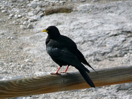 Free Crow Mountain photo and picture
