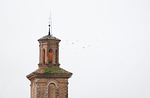 birs, church, sky