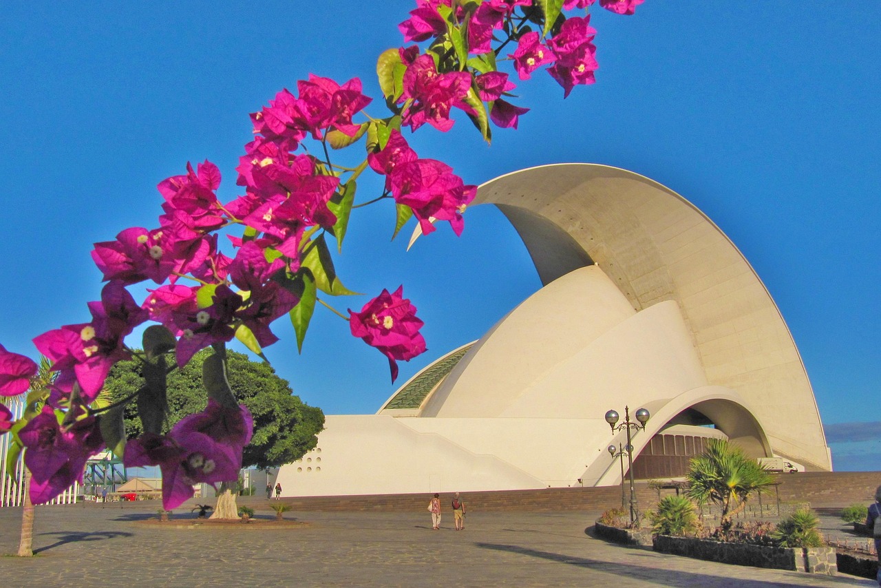 Teneriffa Oper Santa Cruz De Kostenloses Foto Auf Pixabay Pixabay
