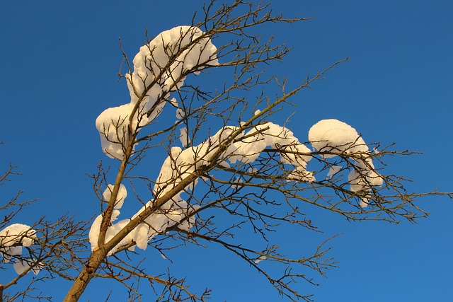 Winter, Schnee, Natur, Himmel