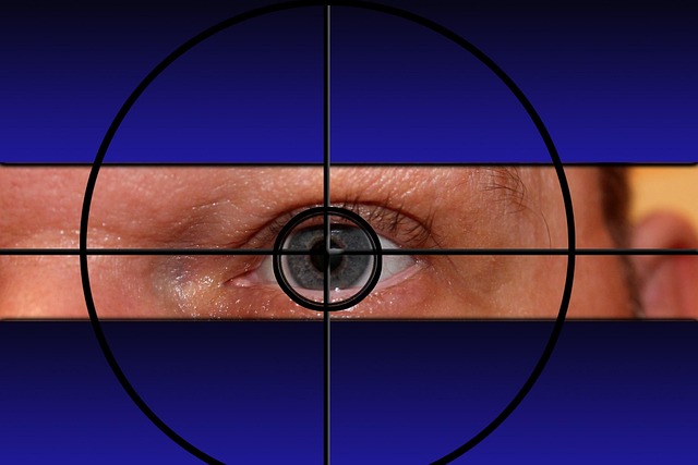 Free Crosshair Visor photo and picture