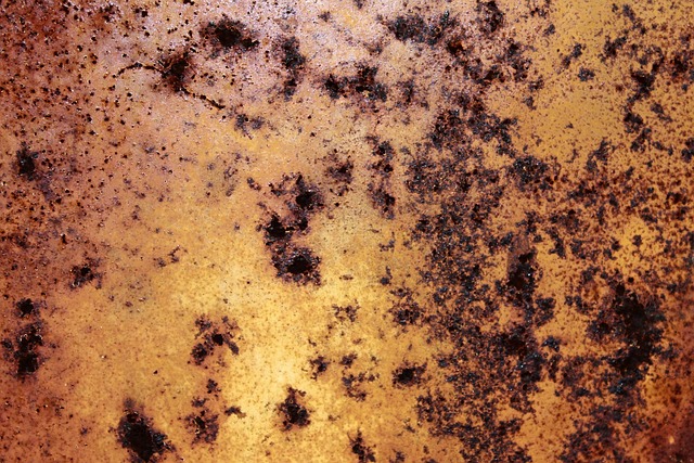 Free Rust Rusted photo and picture
