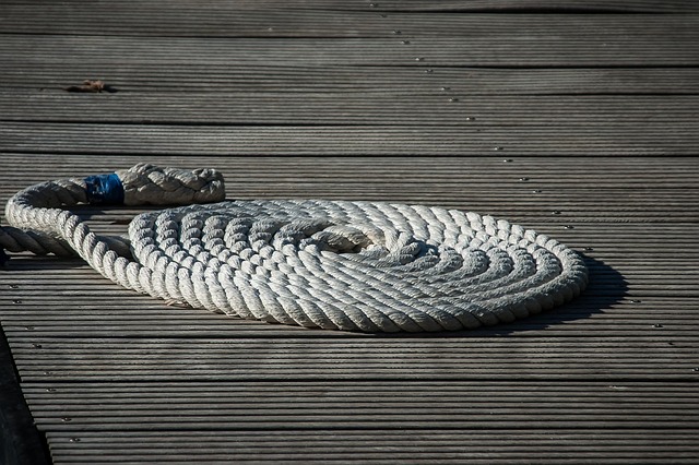Free Dew Rope photo and picture