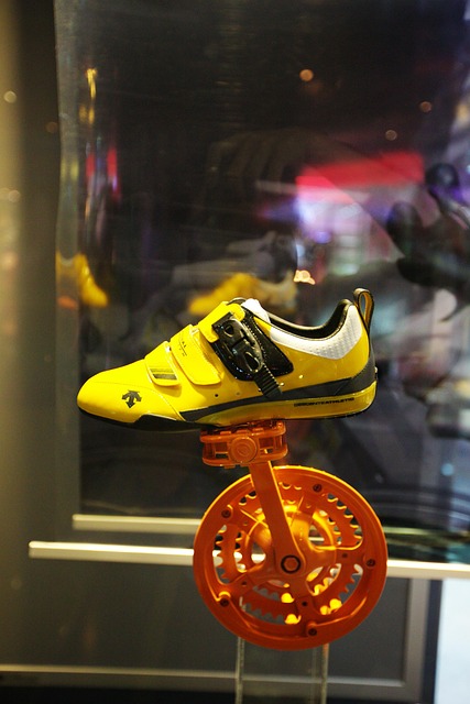 Free Shoes Shoe photo and picture