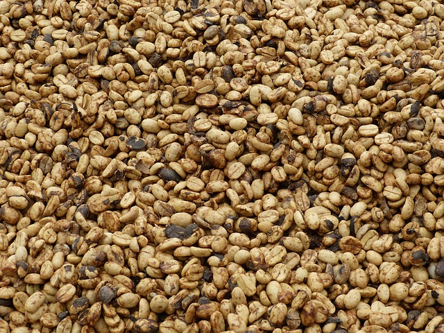 Free Coffee Beans Coffee photo and picture