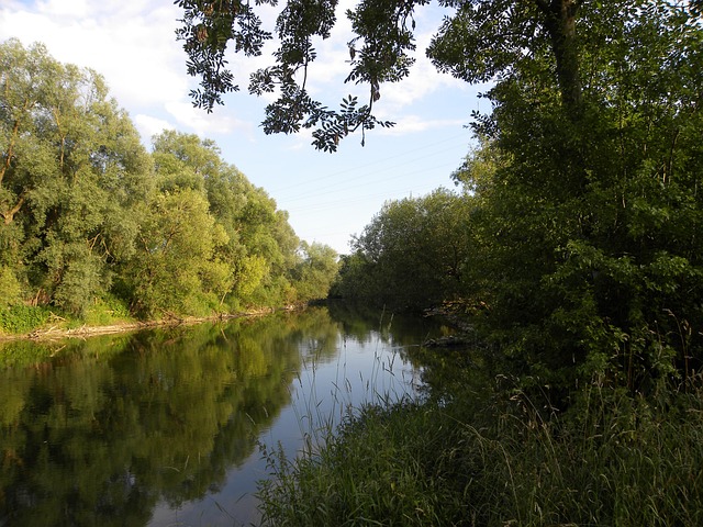 Free Danube Water photo and picture