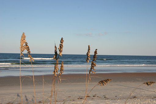 Playa, Arena, Ondas, Oceano, Hierba