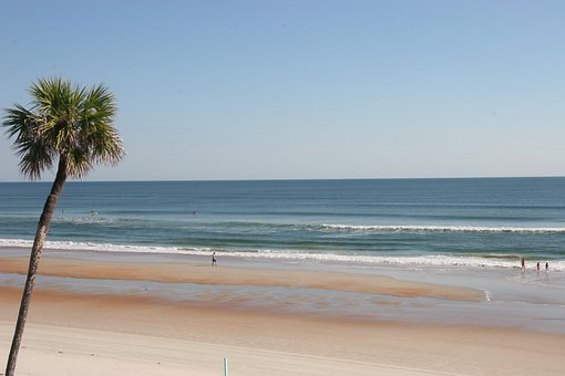 Playa, Oceano, Palma, Árbol, Ondas