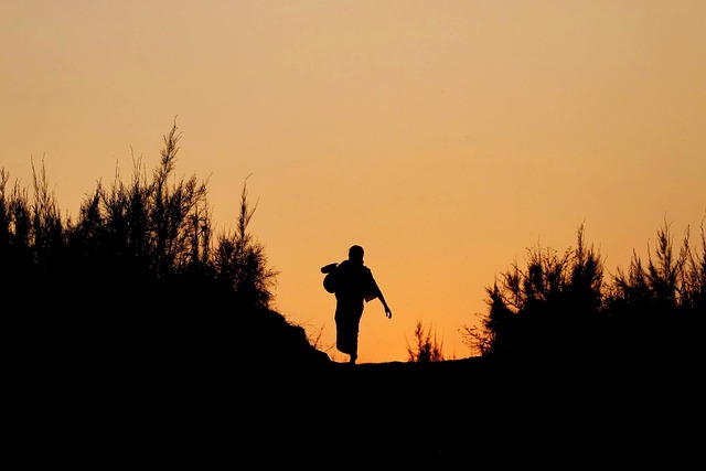 Free Silhouette Sunset photo and picture