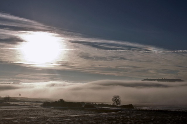 Landskab, Sne, Felt
