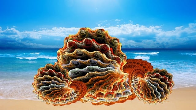 Free sea shells mussels clams illustration