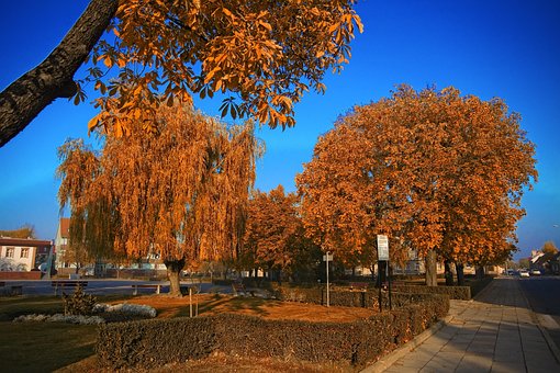 Free Słubice Park photo and picture