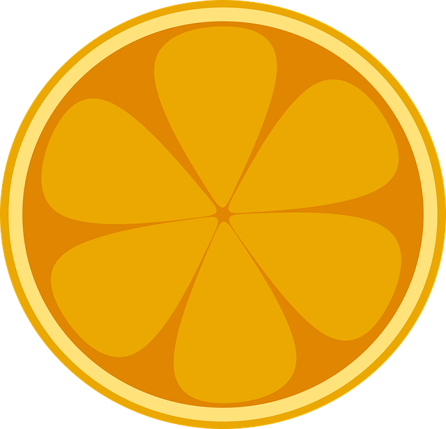 Free fruit owocostan a single piece of fruit vector