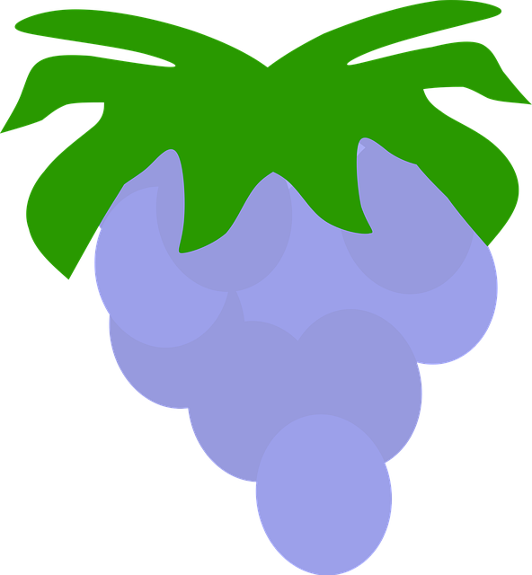Download free HD stock image of Fruit Owocostan Free fruit owocostan a single piece of fruit vector