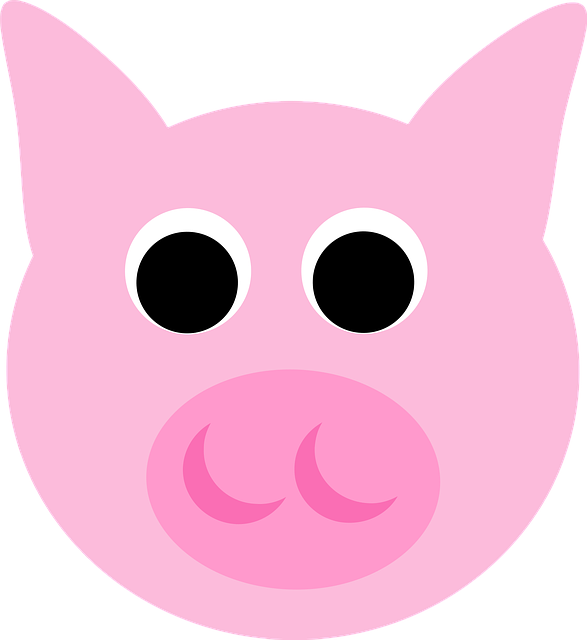 Tier, Haustier, Natur, Tiere, Schwein