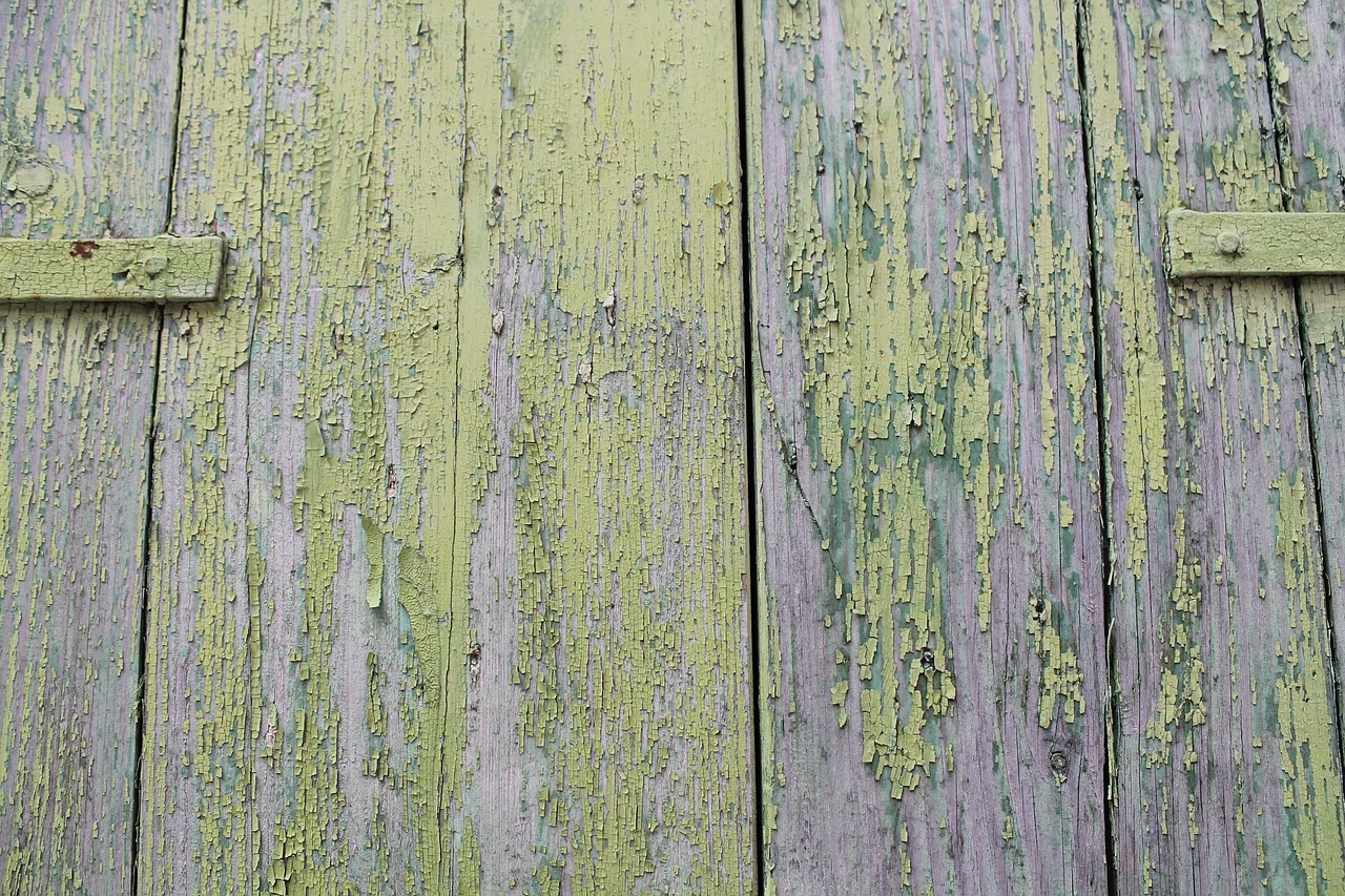 Door - free online jigsaw puzzle photo
