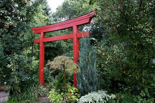Japansk Have, Torii, Have, Flora, Grøn