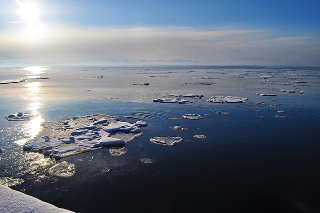 Free Winter Ice photo and picture