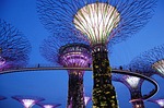 gardens by the bay, marina bay, singapore