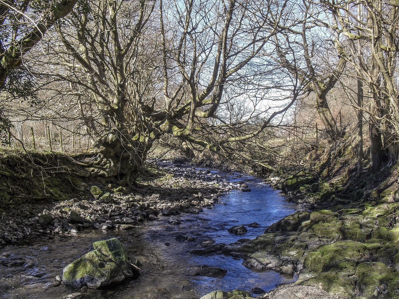 Woodland River Blaenavon Free photo on Pixabay Pixabay
