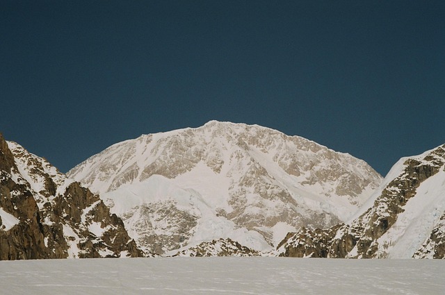 Free Denali Denali National Park photo and picture