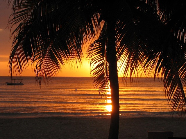 Free Sunset Beach photo and picture