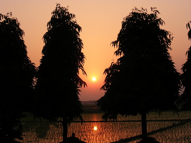 Free Sunset Golden Sunset photo and picture